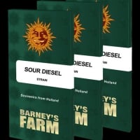 Sour Diesel Feminised Cannabis Seeds | Barney's Farm 