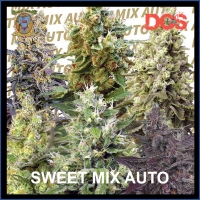 Sweet Mix Auto Feminised Cannabis Seeds | Sweet Seeds