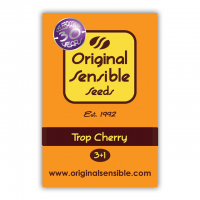 Trop Cherry Feminised Cannabis Seeds | Original Sensible Seeds