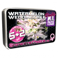 Watermelon Wedding Cake Double XL Auto Feminised Cannabis Seeds - Growers Choice