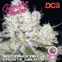 Wedding Cake x Frosty Gelato Feminised Cannabis Seeds - Growers Choice
