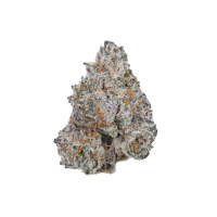 Limited Edition White Truffle Feminised Cannabis Seeds - Growers Choice