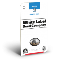 AK420 Feminised Cannabis Seeds | White Label Seed Company