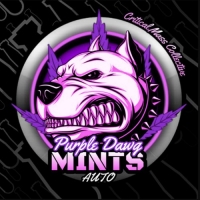 Auto Purple Dawg Mints Feminised Cannabis Seeds | Critical Mass Collective Seeds