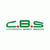 Kanada Kush Feminised Cannabis Seeds | Canadian Bred Seeds