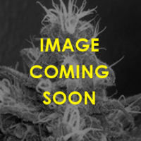 Cannaberry Regular Cannabis Seeds | Apothecary Genetics Seeds
