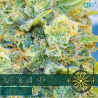 Medical 49 CBD+ Feminised Cannabis Seeds | Vision Seeds