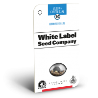 American Line Wedding Cheesecake Feminised Cannabis Seeds | White Label Seed Company