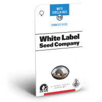 American Line Gorilla Haze Feminised Cannabis Seeds | White Label Seed Company.