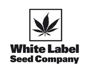 OG Kush Feminised - White label - Discount Cannabis Seeds